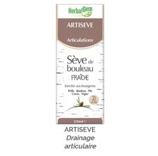 Herbalgem - ARTISEVE - BIO - 250 ml