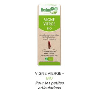 Herbalgem -  VIGNE VIERGE - BIO Pour les petites articulations Gemmothérapie concentré - 30 ml