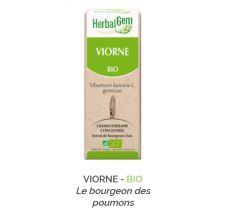 Herbalgem -  VIORNE - BIO Le bourgeon des poumons Gemmothérapie concentré - 30 ml