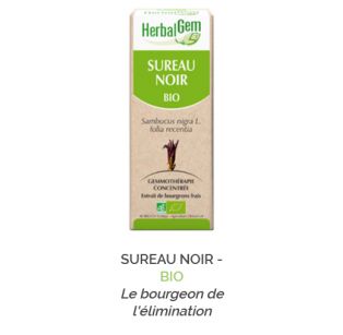 Herbalgem -  SUREAU NOIR - BIO Le bourgeon de l'élimination Gemmothérapie concentré - 30 ml