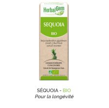 Herbalgem -  SÉQUOIA - BIO Pour la longévité Gemmothérapie concentré - 30 ml
