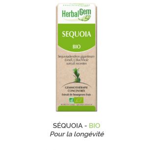 Herbalgem -  SÉQUOIA - BIO Pour la longévité Gemmothérapie concentré - 30 ml