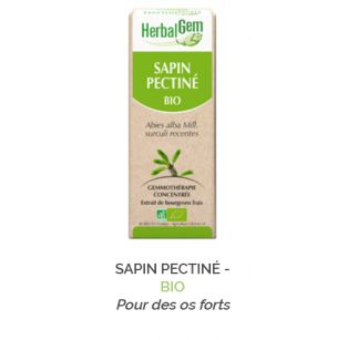 Herbalgem -  SAPIN PECTINÉ - BIO Pour des os forts Gemmothérapie concentré - 30 ml
