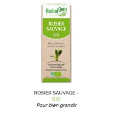 Herbalgem -  ROSIER SAUVAGE - BIO Pour bien grandir Gemmothérapie concentré - 30 ml
