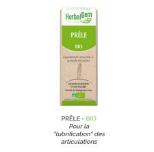 Herbalgem -  PRÊLE - BIO Pour la “lubrification“ des articulations Gemmothérapie concentré - 30 ml