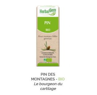 Herbalgem -  PIN DES MONTAGNES - BIO Le bourgeon du cartilage Gemmothérapie concentré - 30 ml
