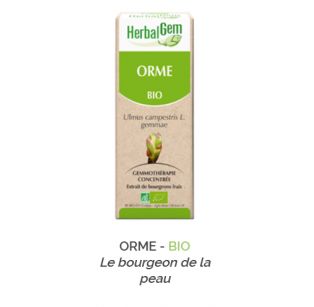 Herbalgem -  ORME - BIO Le bourgeon de la peau Gemmothérapie concentré - 30 ml