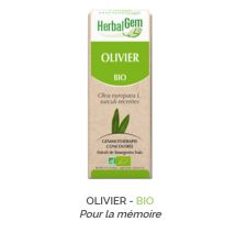 Herbalgem -  OLIVIER - BIO Pour la mémoire Gemmothérapie concentré - 30 ml