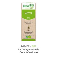 Herbalgem -  NOYER - BIO Le bourgeon de la flore intestinale Gemmothérapie concentré - 30 ml
