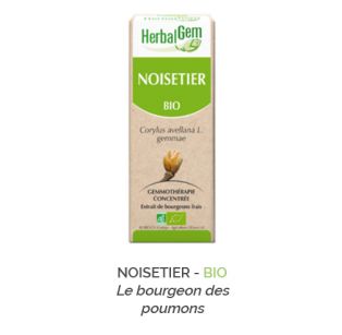 Herbalgem -  NOISETIER - BIO Le bourgeon des poumons Gemmothérapie concentré - 30 ml