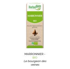 Herbalgem -  MARRONNIER - BIO Le bourgeon des veines Gemmothérapie concentré - 30 ml