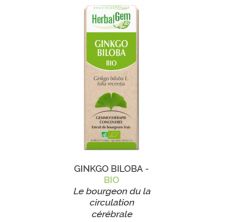 Herbalgem -  GINKGO BILOBA - BIO Le bourgeon du la circulation cérébrale Gemmothérapie concentré - 30 ml