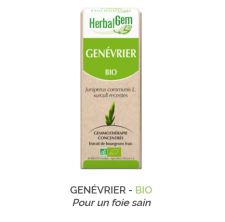 Herbalgem -  GENÉVRIER - BIO Pour un foie sain Gemmothérapie concentré - 30 ml