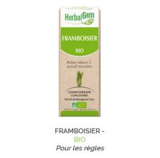 Herbalgem -  FRAMBOISIER - BIO Pour les règles Gemmothérapie concentré - 30 ml
