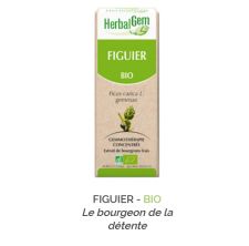 Herbalgem -  FIGUIER - BIO Le bourgeon de la détente Gemmothérapie concentré - 30 ml