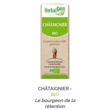 Herbalgem -  CHÂTAIGNIER - BIO Le bourgeon de la rétention Gemmothérapie concentré - 30 ml