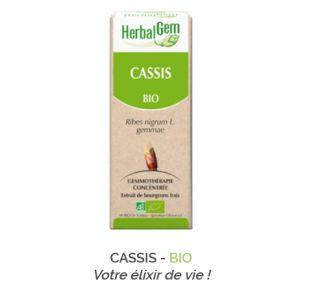 Herbalgem -  CASSIS - BIO Votre élixir de vie Gemmothérapie concentré - 30 ml