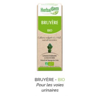 Herbalgem -  BRUYÈRE - BIO Pour les voies urinaires Gemmothérapie concentré - 30 ml