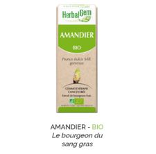 Herbalgem -  AMANDIER - BIO Gemmothérapie concentré - 30 ml