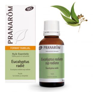 Pranarôm - Huile Essentielle Bio Eucalyptus radié - feuille - 30 ml