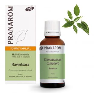 Pranarôm - Huile Essentielle Bio Ravintsara - feuille - 30 ml
