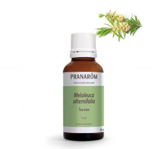 Pranarôm - Huile Essentielle Bio Tea-tree - feuille - 30 ml