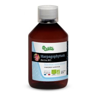 MACERAT HARPAGOPHYTUM racine BIO - 250 ml