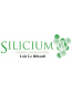 Silicium España Laboratorios 